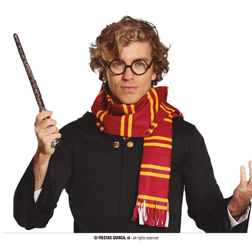 Magische Wizard Set 2-delig