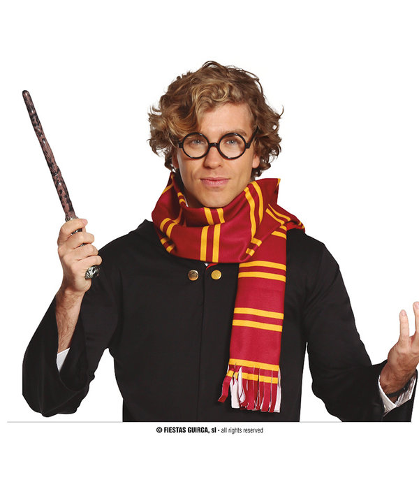 Magische Wizard Set 2-delig