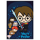 Feestzakjes Harry Potter Cartoon (8st)