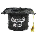 Pinata Professor Hoed Congrats Grad