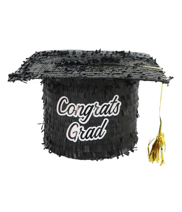 Pinata Professor Hoed Congrats Grad