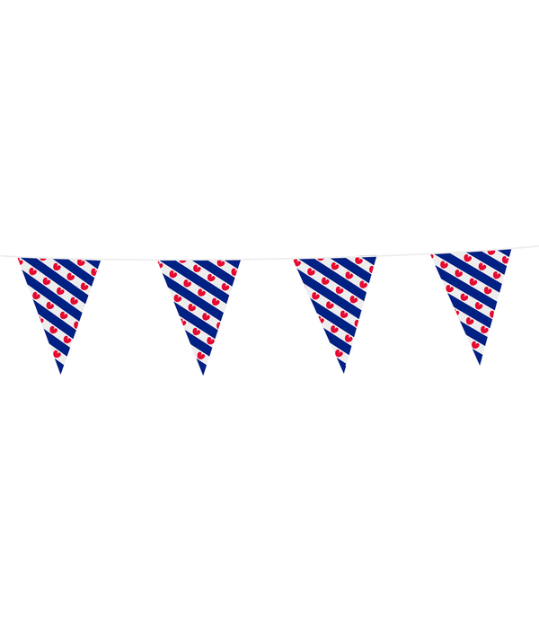 Vlaggenlijn Friesland (10m)