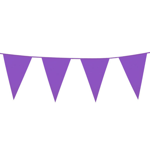Mini Vlaggenlijn Paars (3m)