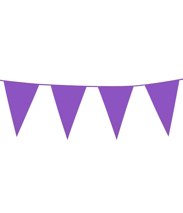 Mini Vlaggenlijn Paars (3m)