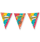 Vlaggenlijn 'Welcome' Rainbow (10m)