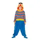 Ernie Onesie Kostuum Kind