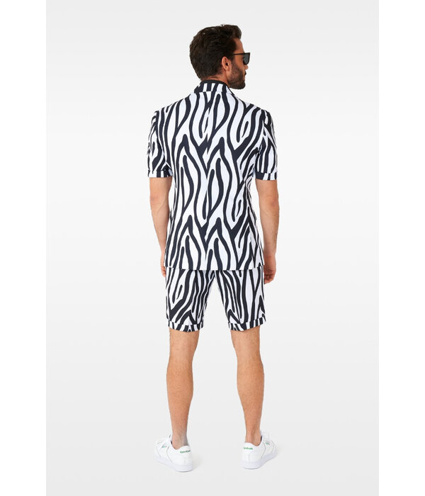 Zomer Pak Sassy Zebra Oppposuits