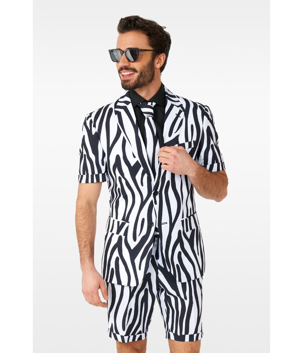 Zomer Pak Sassy Zebra Oppposuits