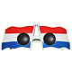 Bril Nederlandse Vlag