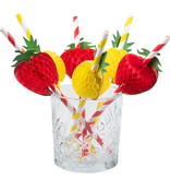 Set Rietjes Fruit 20cm (6st)