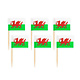 Vlaggenprikkers Wales (50st)