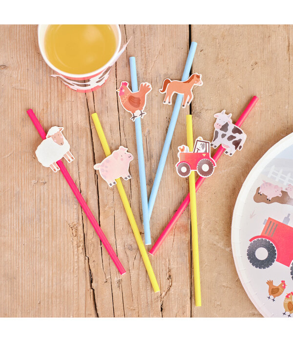 Rietjes Boerderij Farm Scene (16st)