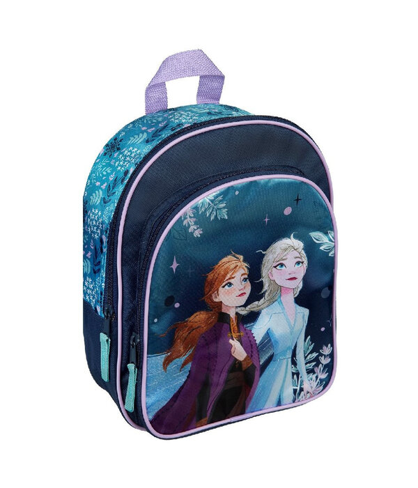 Frozen Rugtas (30x25cm)