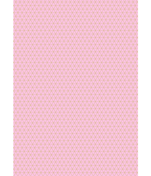 Cadeaupapier Roze Ruiten Fresh