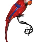 Papegaai Charlie Met Elastiek (35cm)