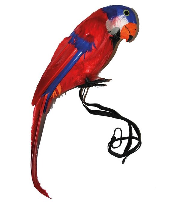 Papegaai Charlie Met Elastiek (35cm)