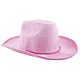 Roze Cowboyhoed fluweel Goodwin