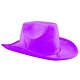 Paarse Cowboyhoed fluweel Goodwin