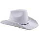 Witte Cowboyhoed Fluweel Goodwin