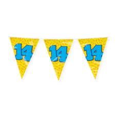 Happy Verjaardag Vlaggenlijn 14 Jaar (10m)