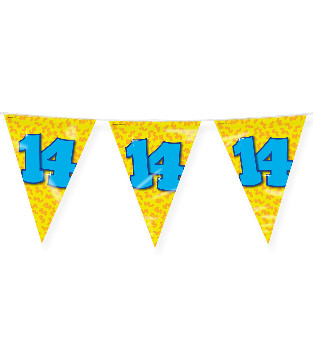Happy Verjaardag Vlaggenlijn 14 Jaar (10m) afbeelding