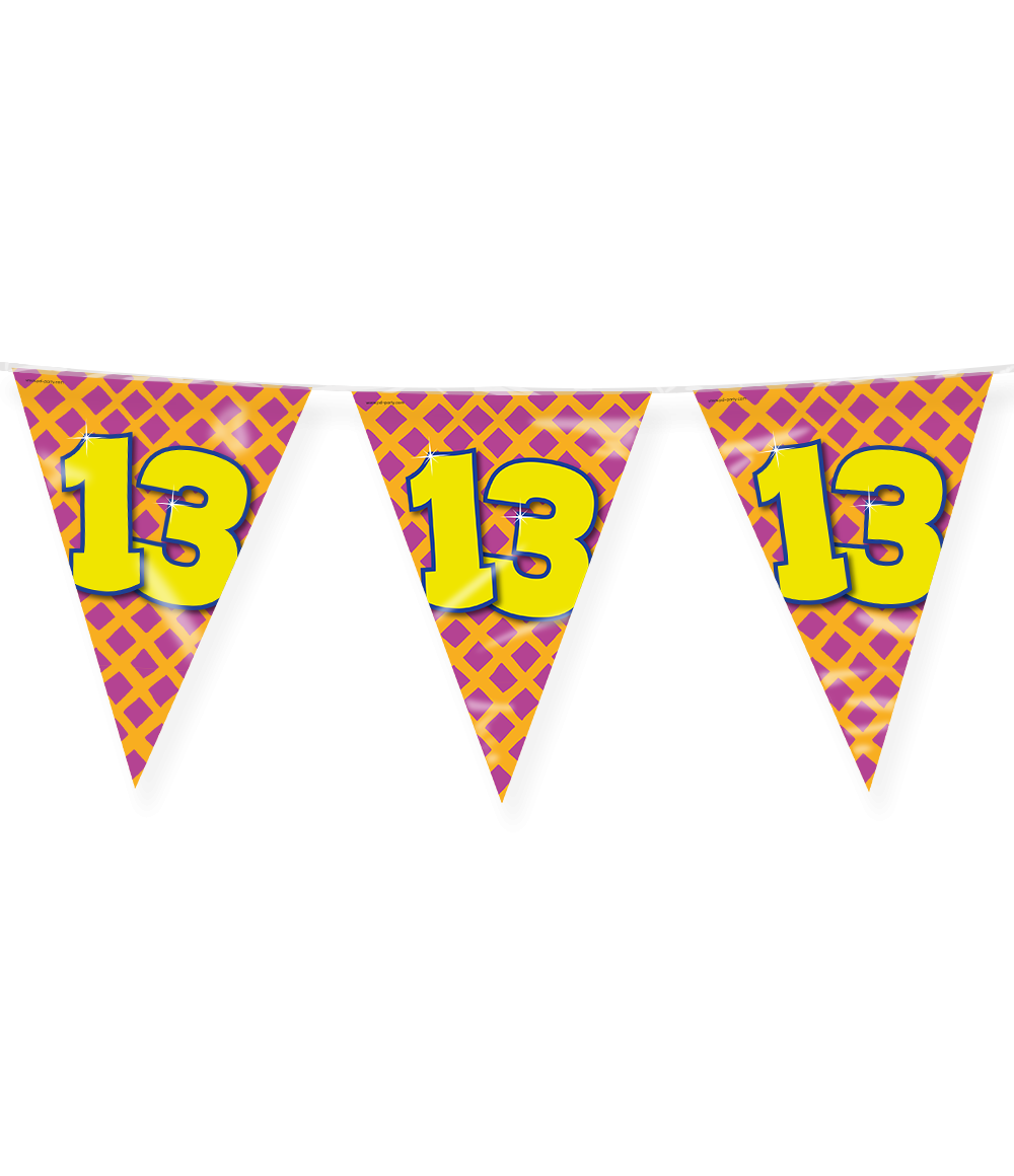 Happy Verjaardag Vlaggenlijn 13 Jaar (10m) afbeelding