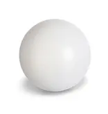 Waarzegster Bol met Licht