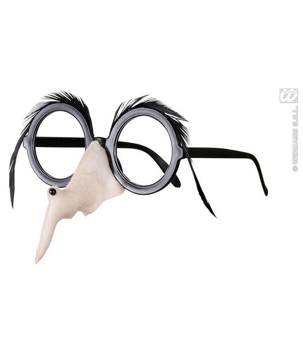 Bril Met Heksenneus En Zwarte Wenkbrauwen