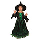 Heksenjurk Kind Groen Premium + Hoed