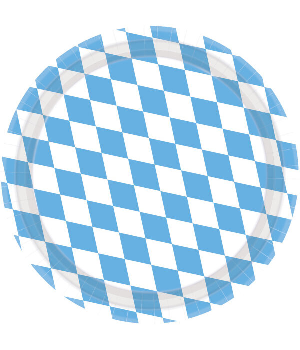 Geruite Papieren Bordjes Blauw/Wit (8st)