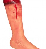 Afgerukte Been Halloween