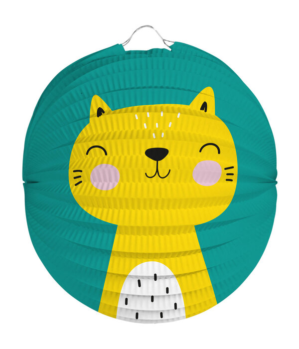 Bollampion Kat - 22cm