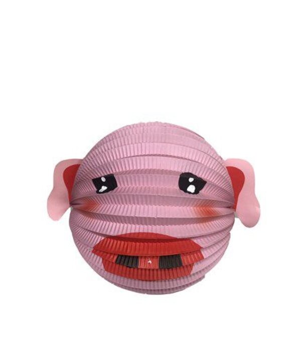 Bollampion Biggetje - 20cm