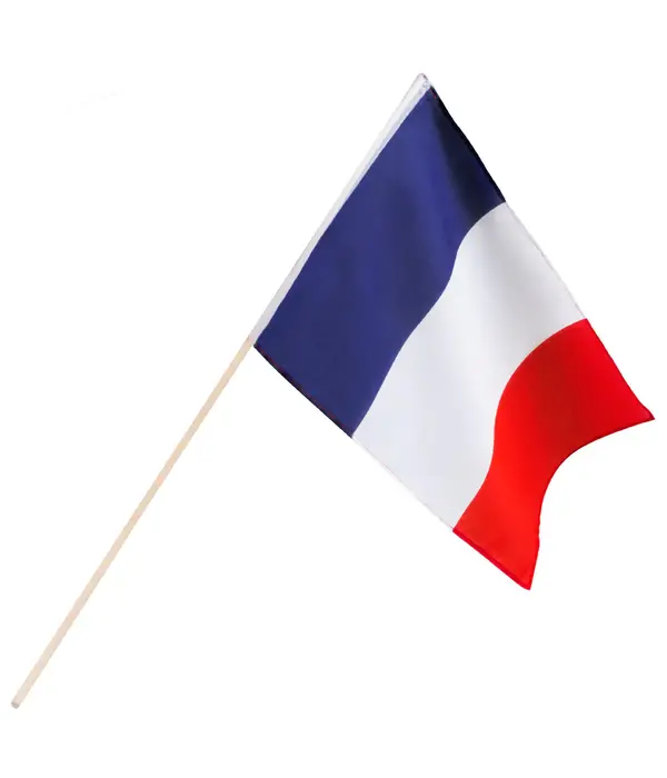 Zwaaivlag Frankrijk (30x45cm)