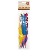 12 Gekleurde Veren Piet/Indiaan