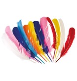 12 Gekleurde Veren Piet/Indiaan