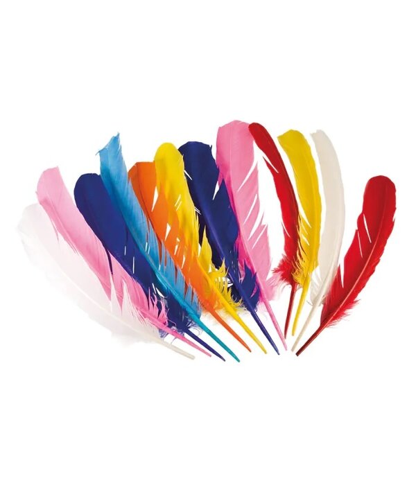 12 Gekleurde Veren Piet/Indiaan