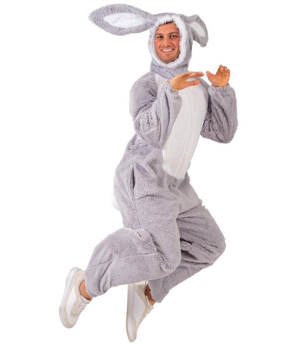 Konijnen Kostuum Grijs Cookie