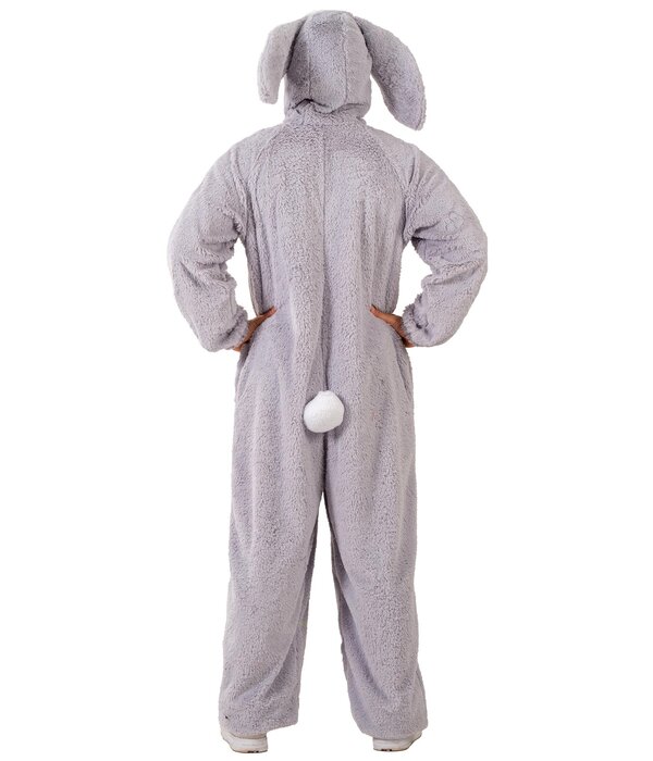 Konijnen Kostuum Grijs Cookie
