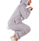 Konijnen Kostuum Grijs Cookie