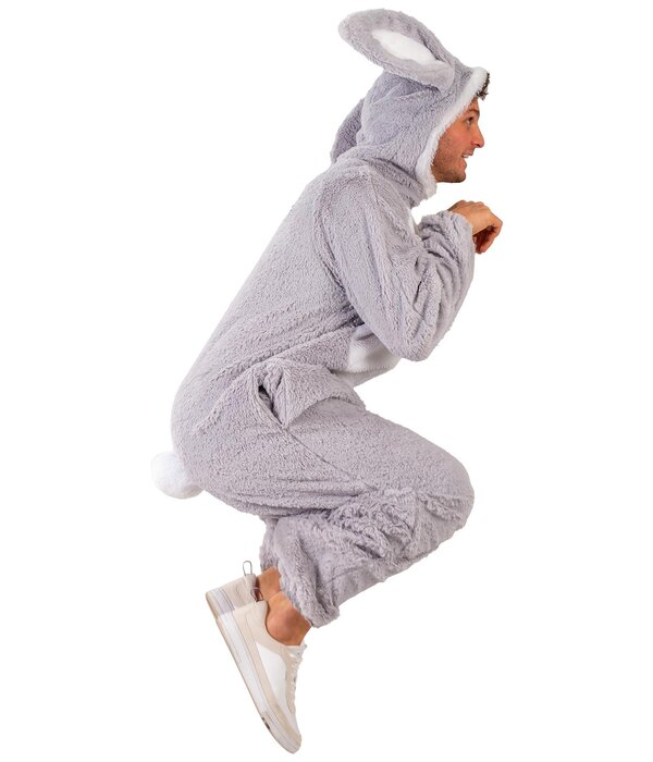 Konijnen Kostuum Grijs Cookie
