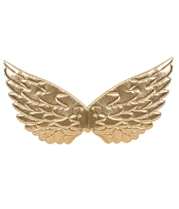 Engelenvleugels Aurelia (22x43cm)