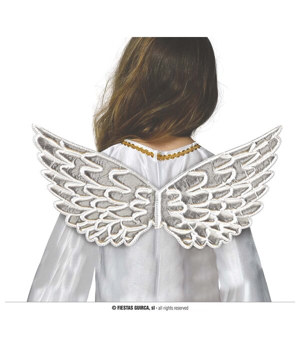 Zilveren Vleugels 44cm