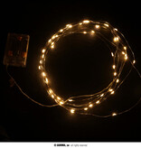 Lichtslinger Wit Warm LED (5m; 50 leds)