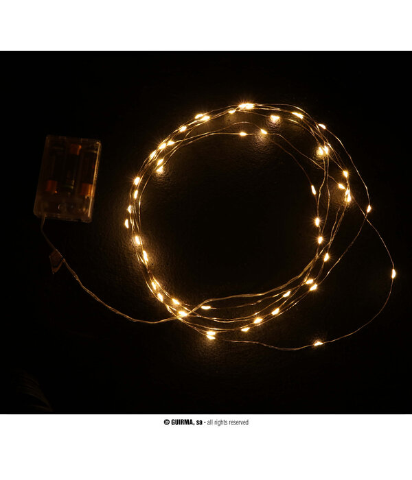 Lichtslinger Wit Warm LED (5m; 50 leds)