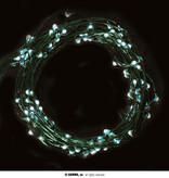 Lichtslinger Groen LED (5m; 50 leds)