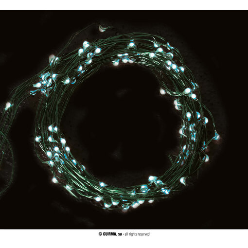 Lichtslinger Groen LED (5m; 50 leds)