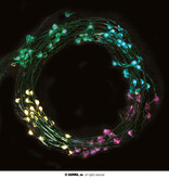 Lichtslinger Groen Multikleur LED (5m; 50 leds)