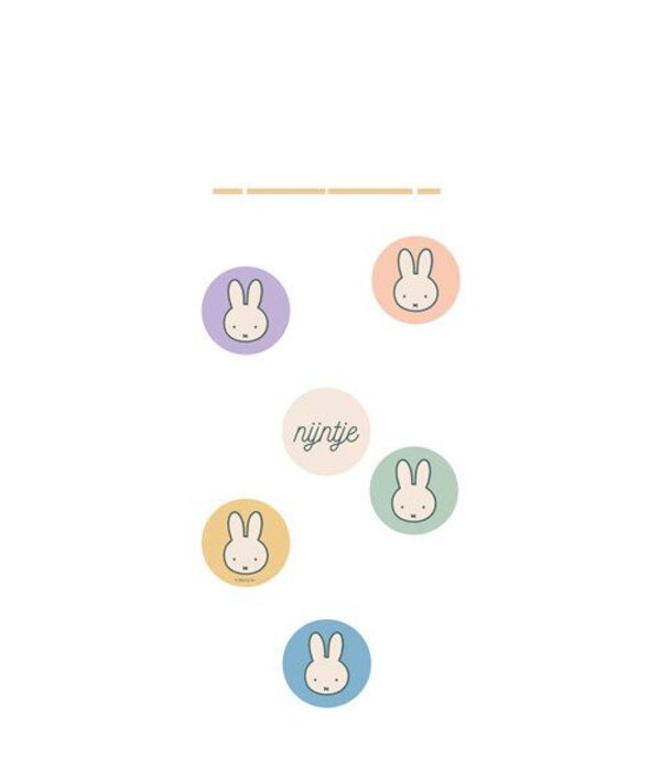 Hangdecoratie Nijntje