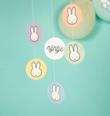 Hangdecoratie Nijntje